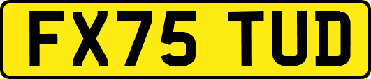 FX75TUD
