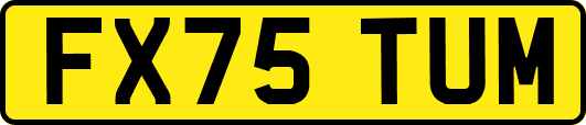 FX75TUM