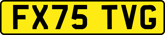 FX75TVG