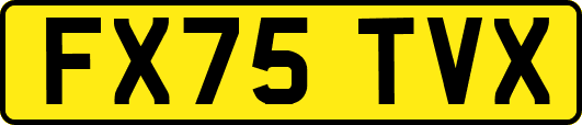 FX75TVX