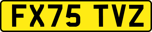 FX75TVZ