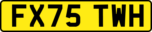 FX75TWH