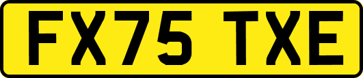 FX75TXE
