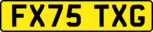 FX75TXG