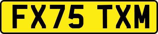 FX75TXM