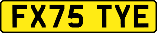 FX75TYE