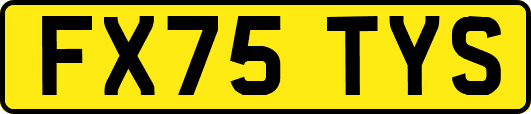 FX75TYS