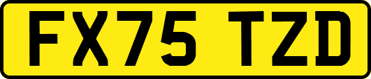 FX75TZD