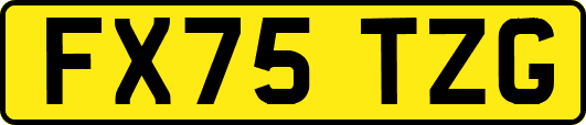 FX75TZG
