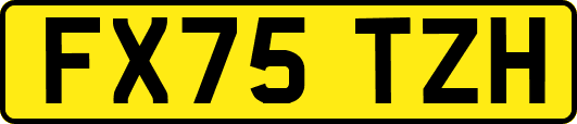 FX75TZH