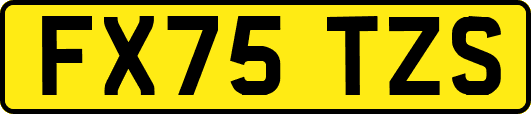FX75TZS