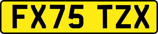 FX75TZX