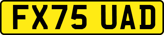 FX75UAD
