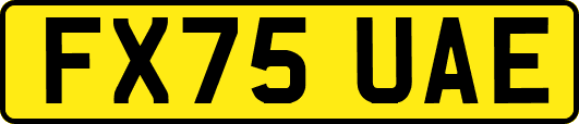 FX75UAE