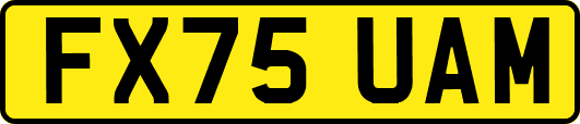 FX75UAM