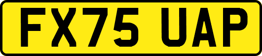 FX75UAP