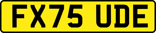 FX75UDE