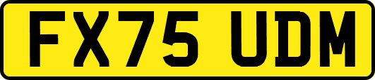 FX75UDM