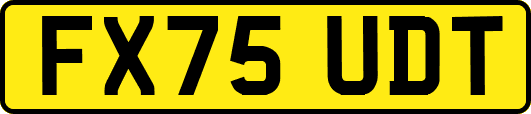 FX75UDT