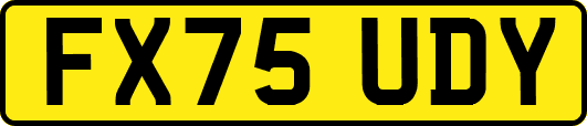 FX75UDY