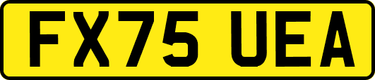 FX75UEA