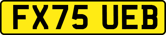 FX75UEB