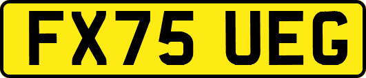 FX75UEG