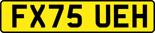 FX75UEH