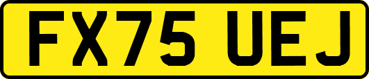 FX75UEJ