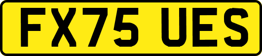 FX75UES