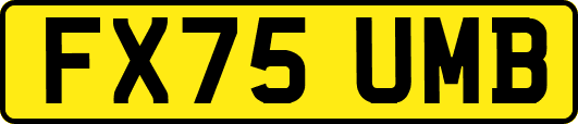 FX75UMB