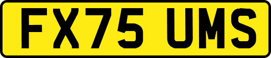 FX75UMS