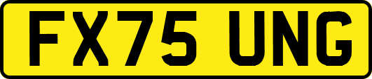 FX75UNG