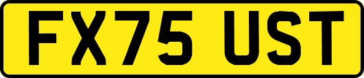 FX75UST