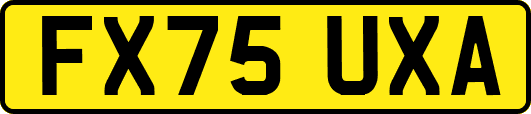 FX75UXA