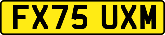 FX75UXM