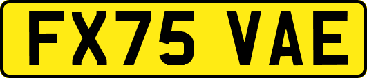 FX75VAE