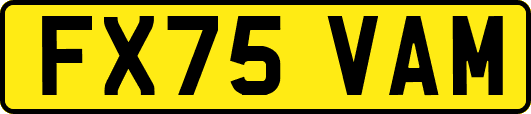 FX75VAM