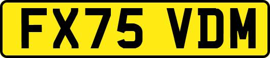 FX75VDM