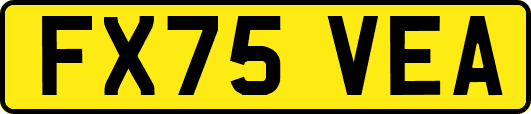 FX75VEA