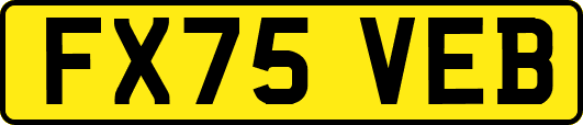 FX75VEB