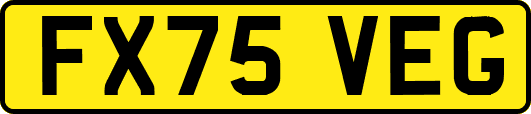 FX75VEG