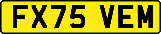 FX75VEM
