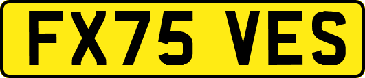 FX75VES