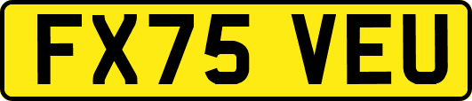 FX75VEU
