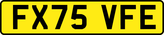 FX75VFE