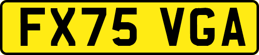 FX75VGA