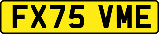 FX75VME