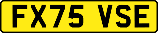 FX75VSE