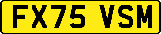 FX75VSM